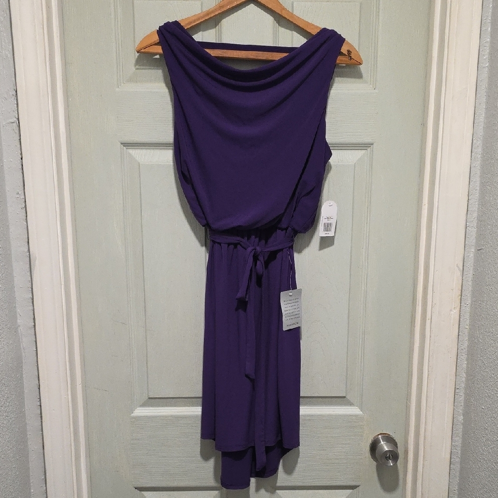 Jessica Simpson Asymmetrical Purple Dress